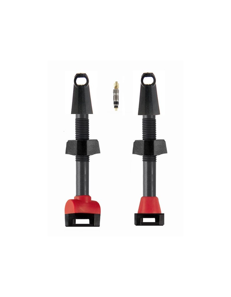 2 VALVOLE PRESTA TUBELESS IN CARBONIO 45mm