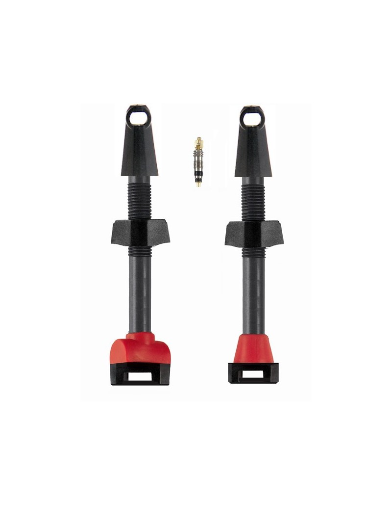 2 VALVOLE PRESTA TUBELESS IN CARBONIO 55mm