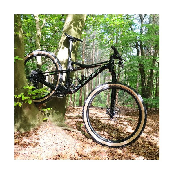 VTT électrique FFWD OUTLAW, paire de roues VTT 29" en carbone, freins à disque