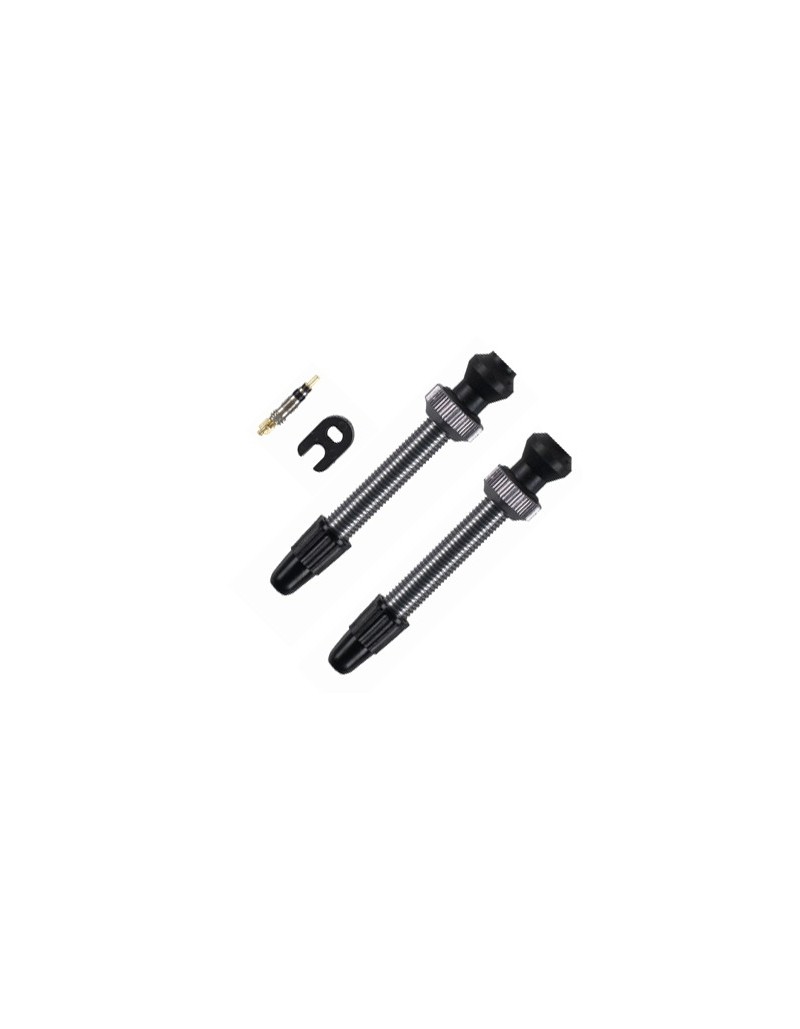 Coppia di valvole Presta alluminio per tubeless colore titanio 45mm